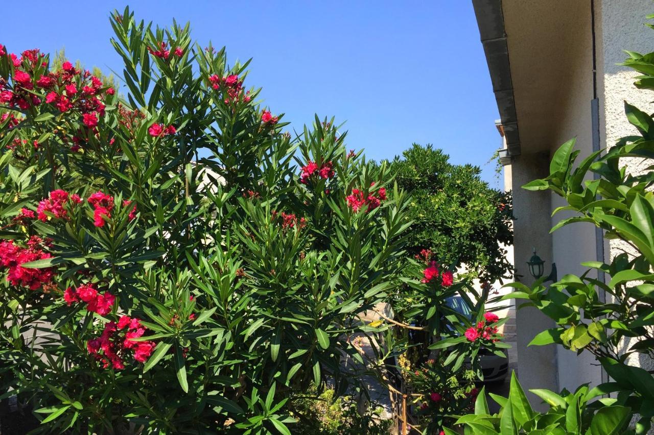 Apartments By The Sea Orebic, Peljesac - 11450 المظهر الخارجي الصورة